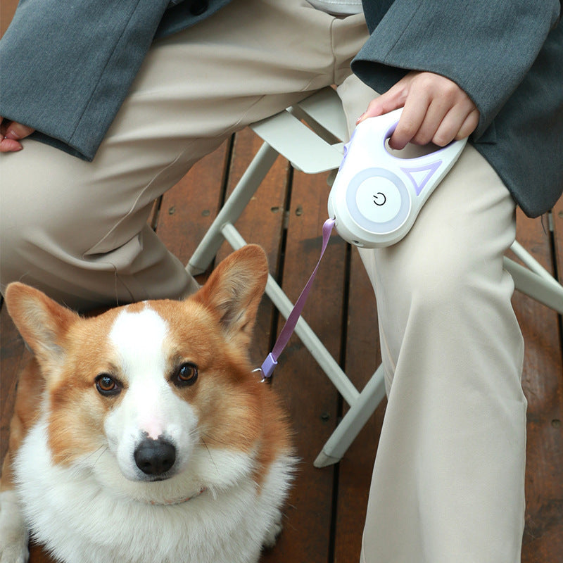 Amazing Retractable Dog Leash & Collar Set.